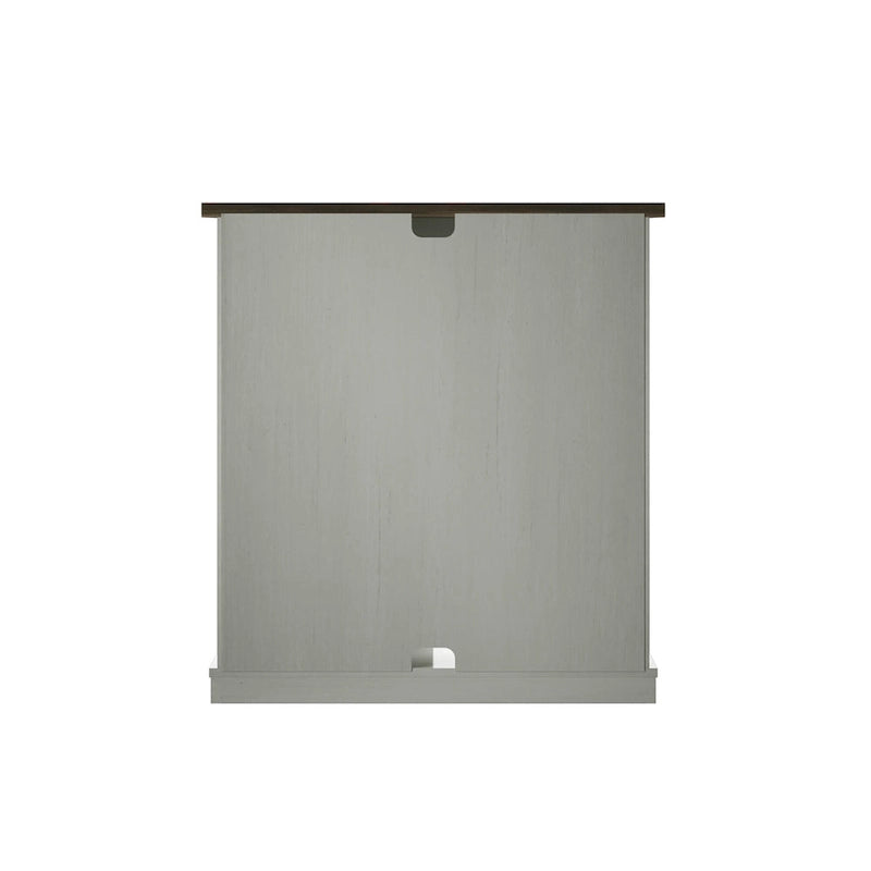 Accent Cabinet with Sliding Barn Door