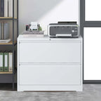 Lateral File Cabinet 2 Drawer,Filing Cabinet with Lock, Lockable File Cabinet for Home Office